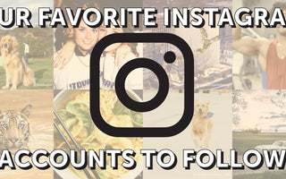 Our favorite Instagram accounts to follow
