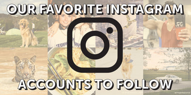 Our favorite Instagram accounts to follow