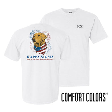 Kappa Sig Comfort Colors USA Retriever Tee
